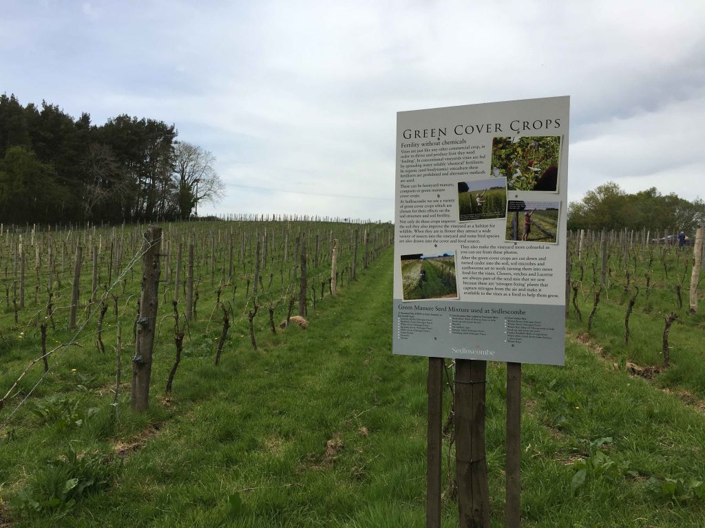 English vineyard tour in Sussex