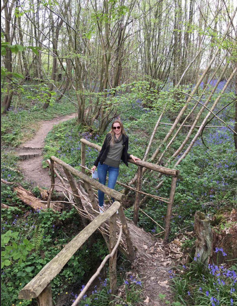Vineyard forest trail