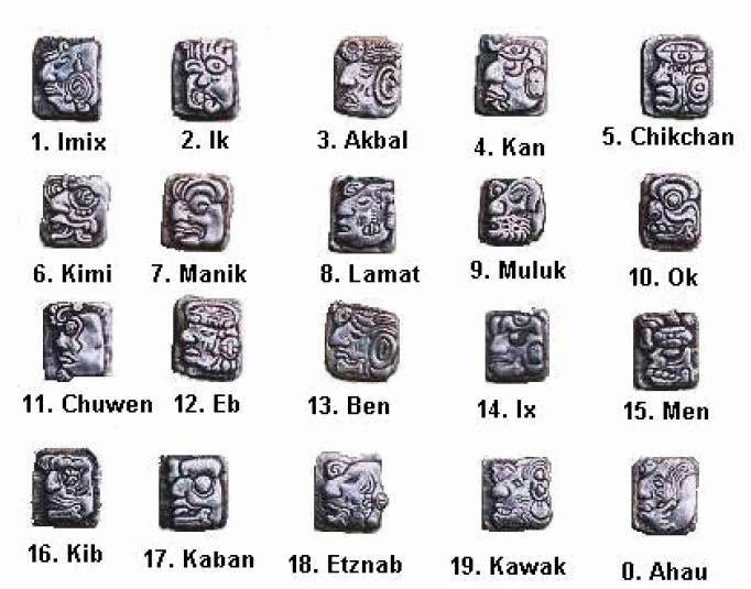 Maya dayglyps