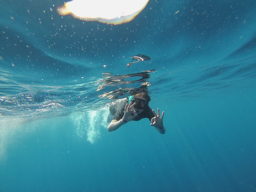 diver okay