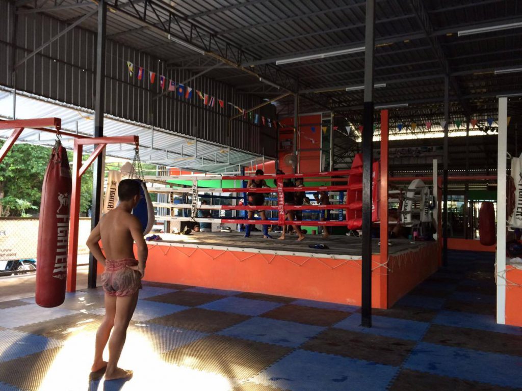 Muay thai ring phuket