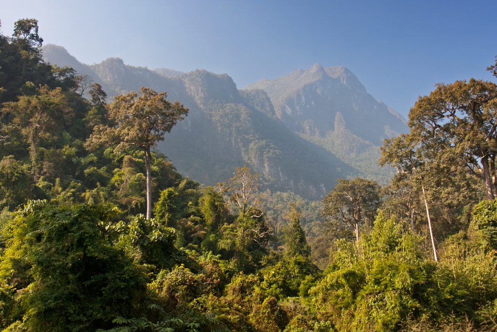 Chiang Dao Jungle and Mountain