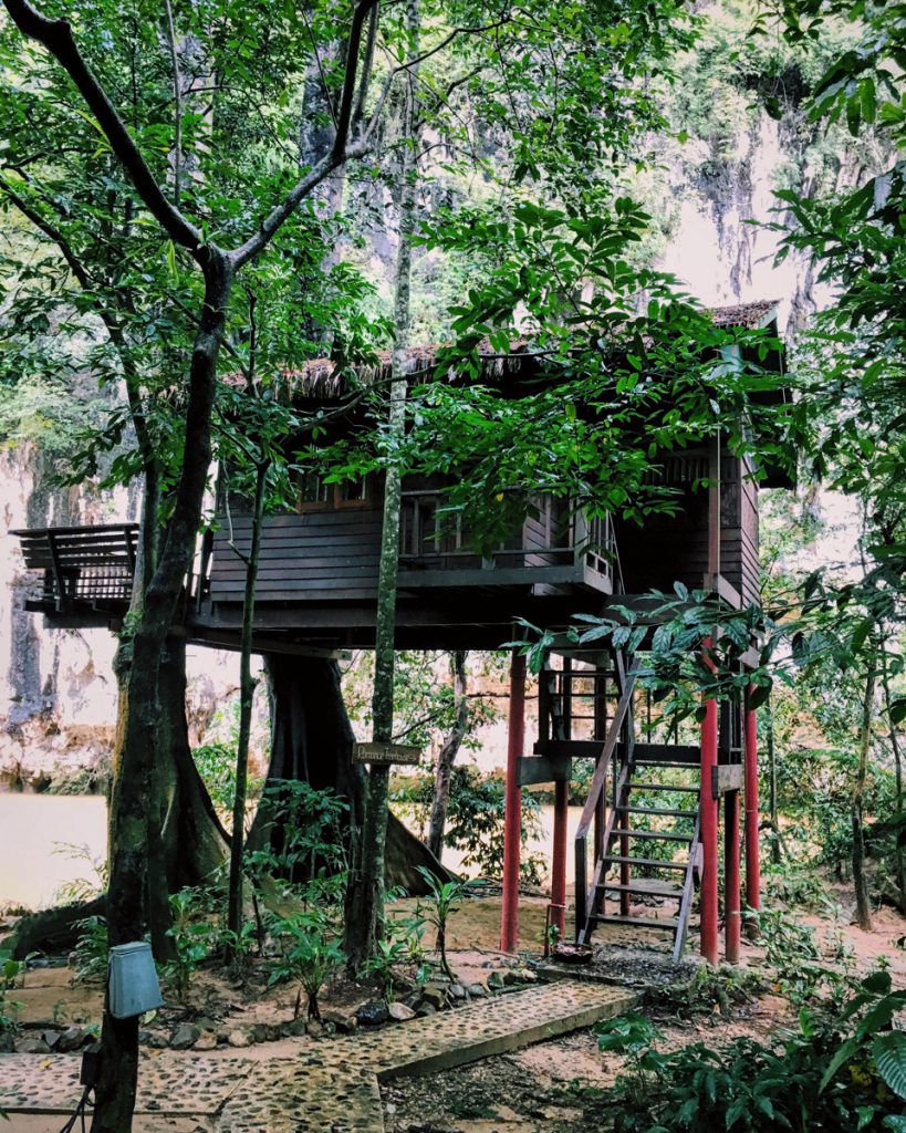 Our Jungle House Khao Sok