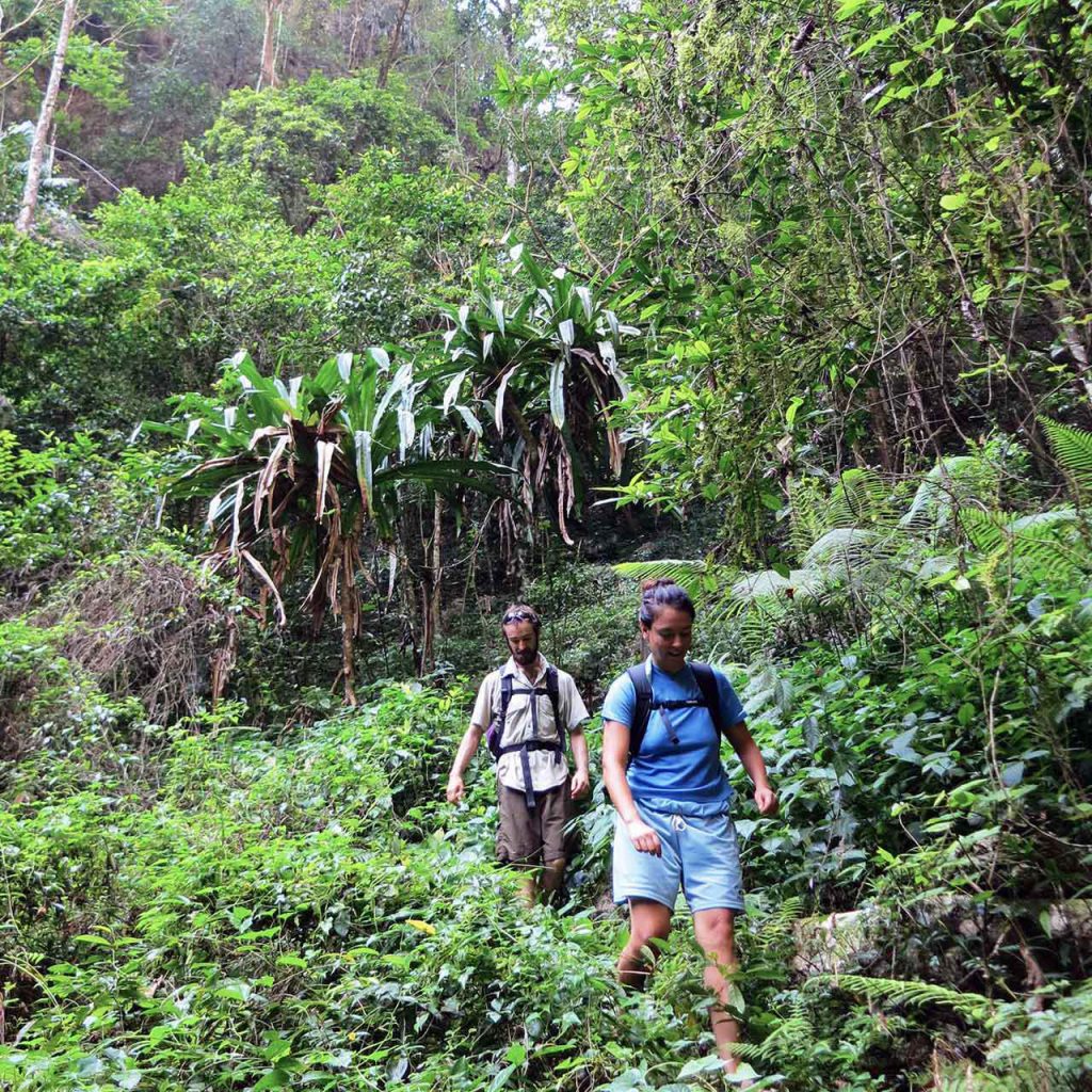 hiking in Khao Sok National Park