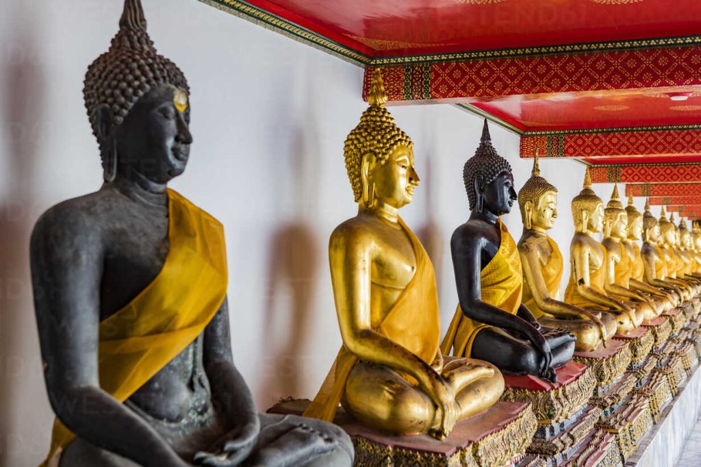 best things to do in Thailand