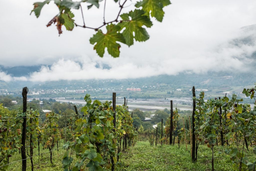 top wine destinations