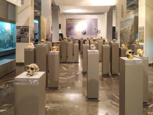 Best Museums in Tbilisi Georgia – Your Ultimate List